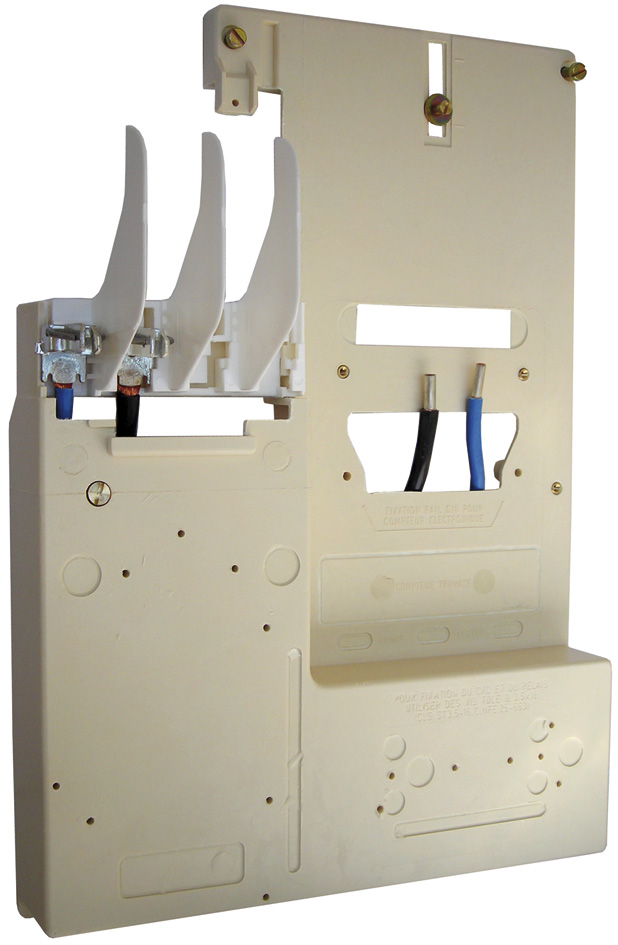 PANNEAU AMOVIBLE S20 MONO TRI 6980132 *